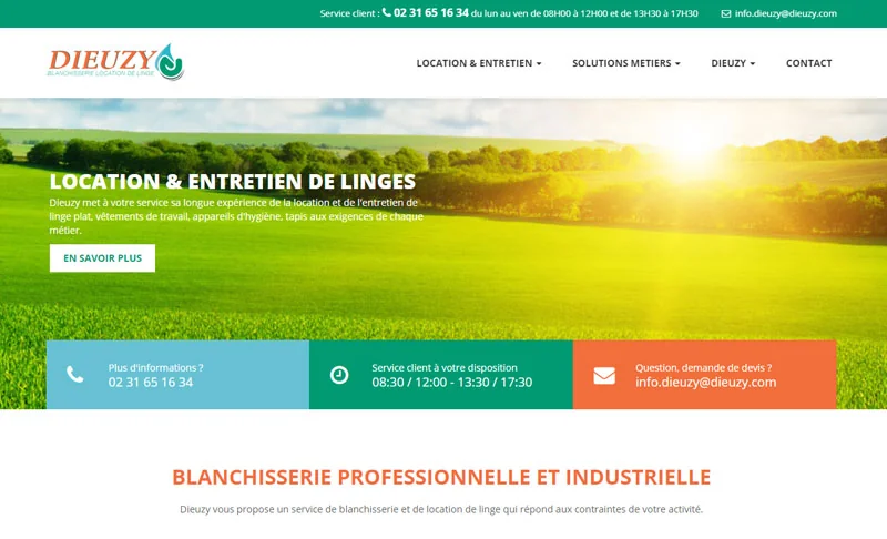 Capture du site Dieuzy